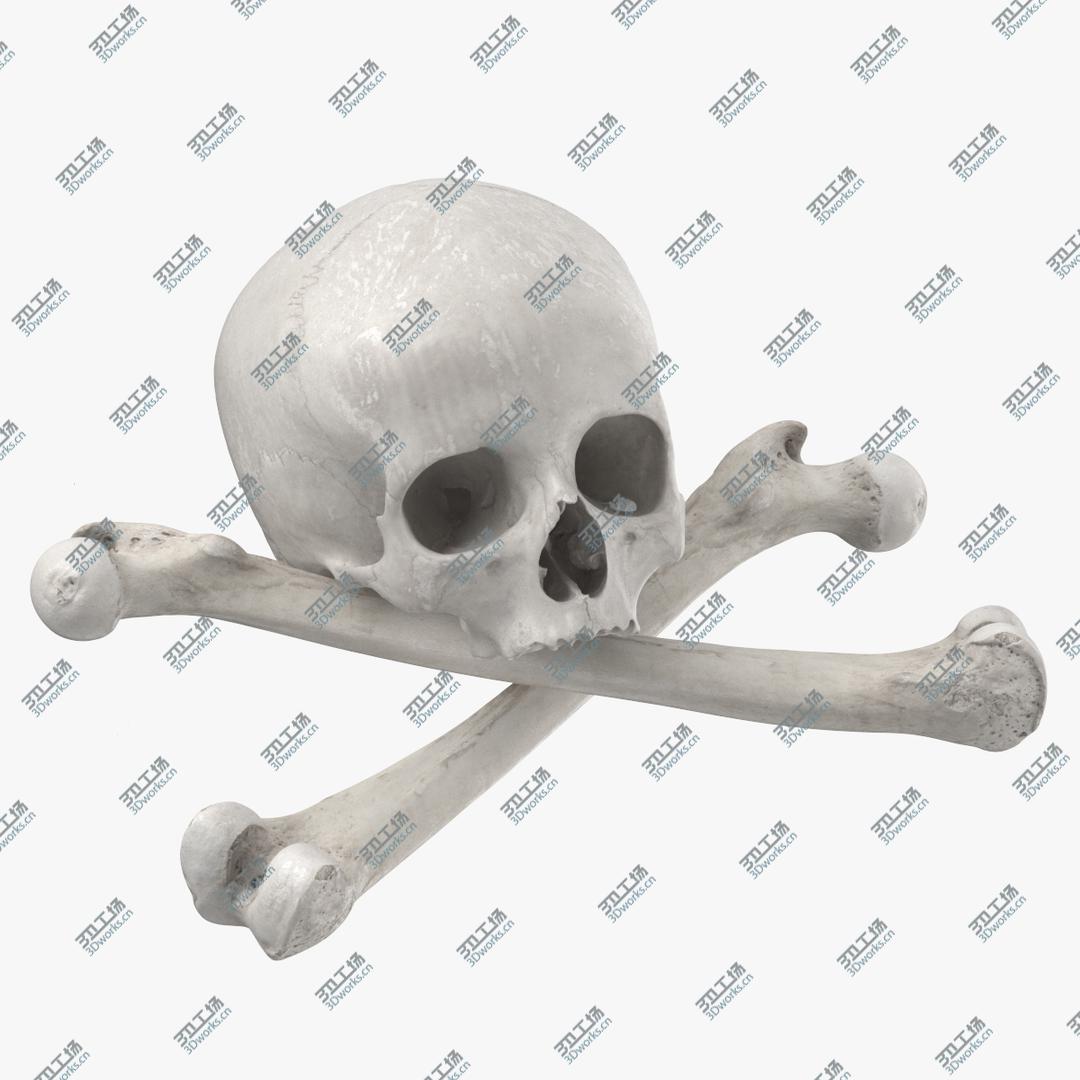images/goods_img/202104021/3D Pirate Skull and Bones Compostion 01 White/1.jpg